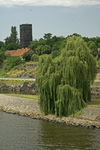 grafika